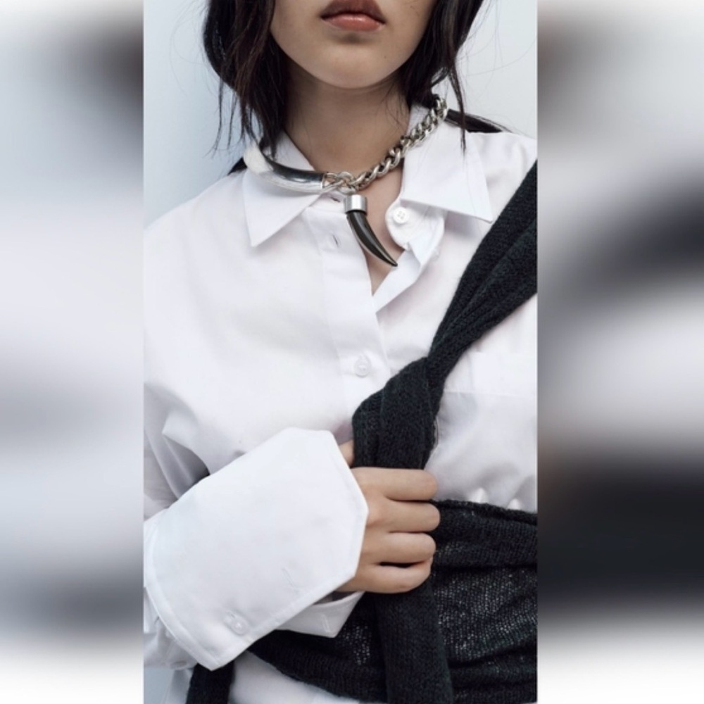 Zara Silver Chain Horn Necklace